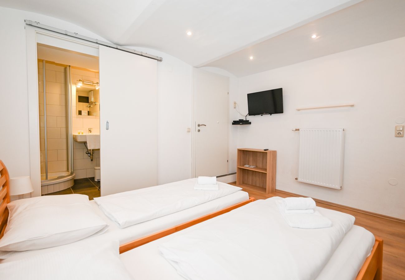 Chalet in Zell am See - Chalet Skilift - Lake View
