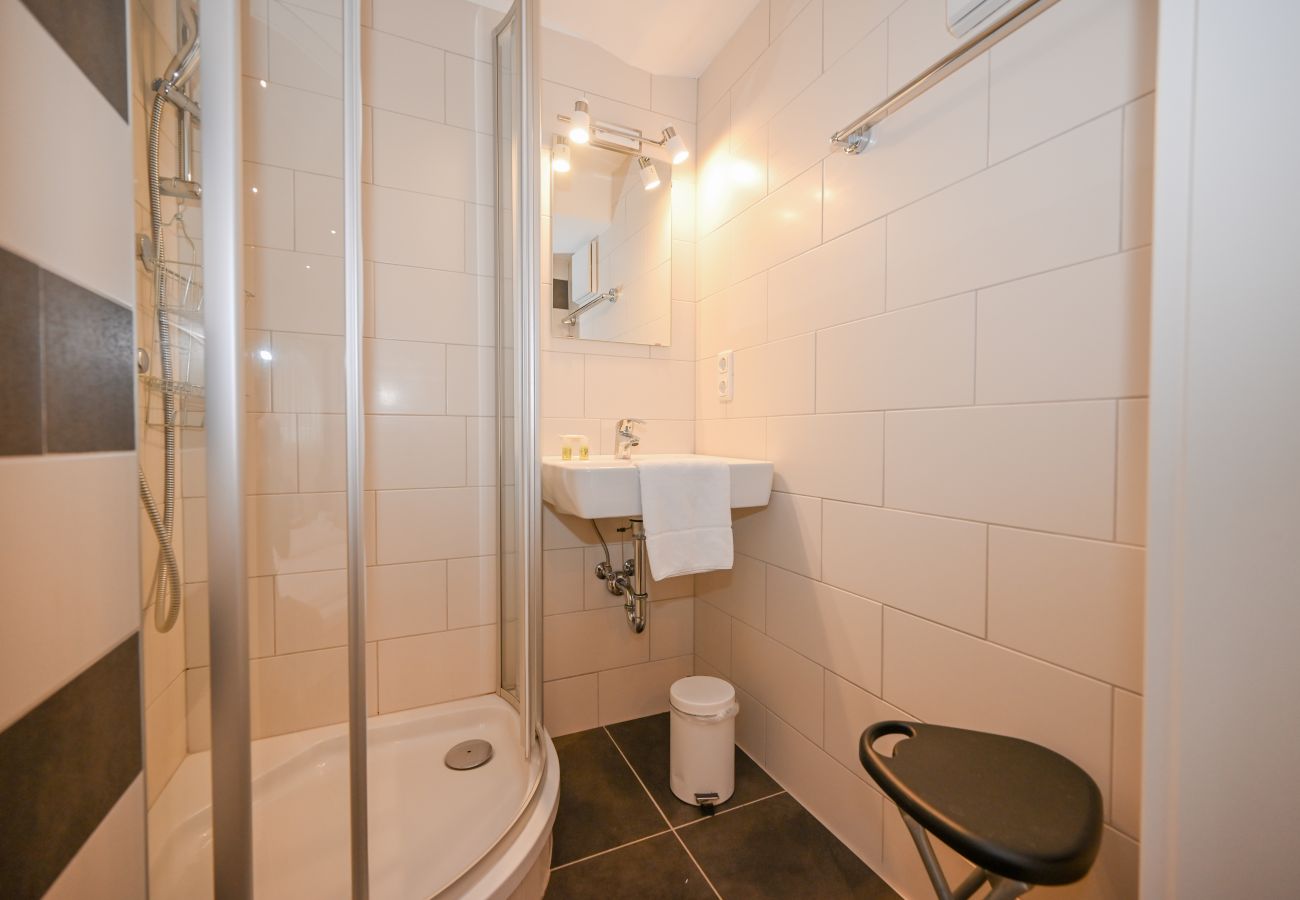 Chalet in Zell am See - Chalet Skilift - Lake View