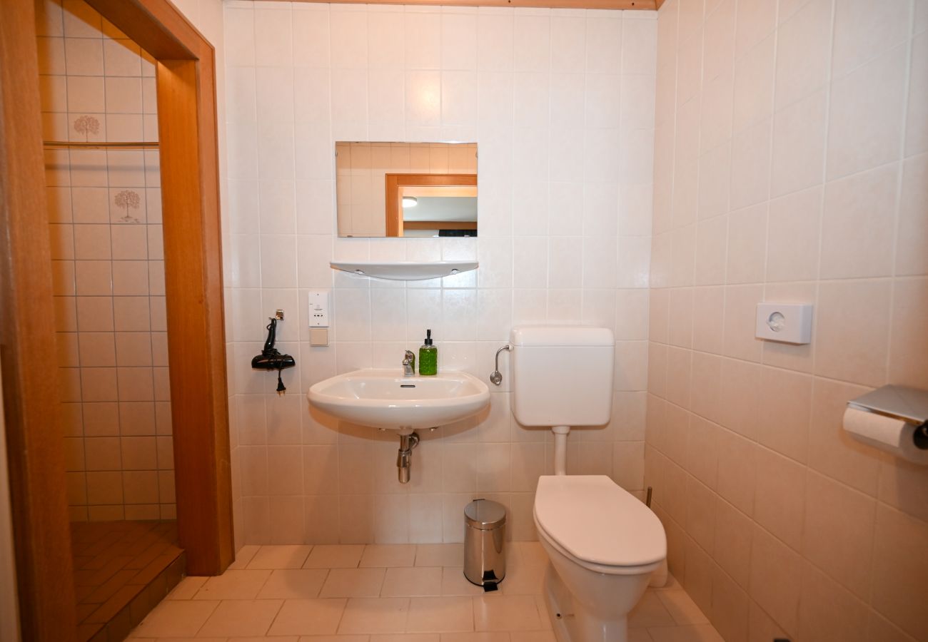 Studio in Zell am See - Schmitten 27 - Room 1 / 200m from ski lift