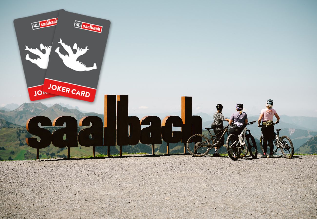 Ferienwohnung in Saalbach - Residence Kristall - TOP 13 / Joker Card